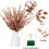 36 Pcs Artificial Eucalyptus Stems, 15 Inch, Dark Brown 3