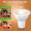 Bec LED GU10 4W 2700K 300LM Alb cald, pachet de 12 4