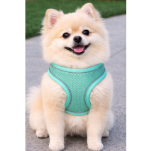 (M, Aqua) Dog Harness Breathable Soft No Pull Reflective Mesh Vest for Dog Walking&Training (Blue Extra Small)