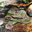 Flydende skildpaddebaskingplatform – Naturligt stendesign, 5