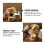 TUIBELYN 1pc Dim Sum Dumpling Food Steamer With Lid Kitchen Multi-functional Steamer 8