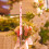 Spitzkerzen, rosa, 25 cm, unparfümiert, 2er-Set 6