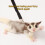 Σετ λουριών Sugar Gliders (3 τεμάχια) – Ρυθμιζόμενο γιλέκο και σχοινιά έλξης για μικρά 5