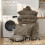 Brown Full Size Comforter Set 7-Piece All-Season 6