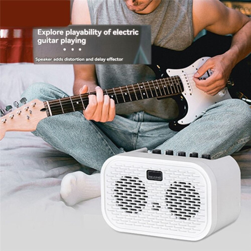 Electric Acoustic Guitar Amplifier Powered Portable  Speaker Distortion Delay Effects10W