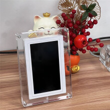 5 Inch IPS Digital Picture Photo Frame with Music-Sync LED Ambient Light Auto-Rotation 4GB Video/Photo Playback US Plug