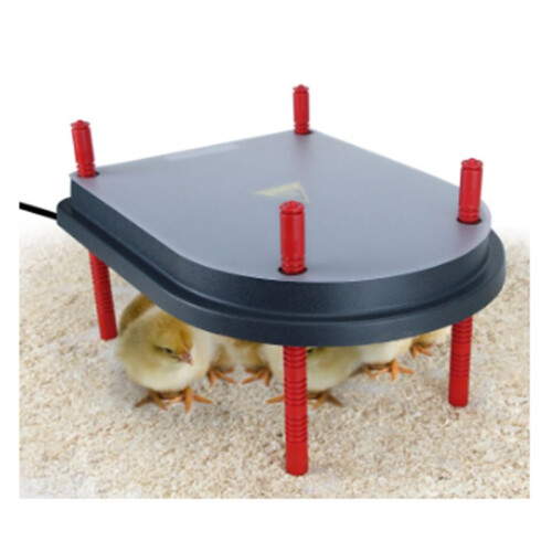 Chick Brooder Heating Plate - Inkubatorer Chick Heating Plate Brooder Hen US Plug 1