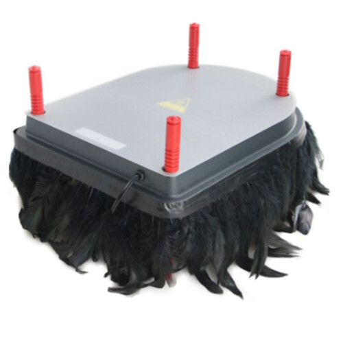 Chick Brooder Heating Plate - Inkubatorer Chick Heating Plate Brooder Hen US Plug 2