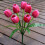 Tulipas artificiais de seda rosa choque, 9 unidades, 40 cm (15,8 polegadas) 5
