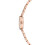Ted Baker Ted Baker BKPJLS504 Ladies Jolyye Watch 2