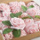 Artificial Rose Flowers with Wire Stem, Champagne Pink, 25 3