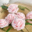 Artificial Rose Flowers with Wire Stem, Champagne Pink, 25 4