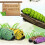 Remote Control Insect Toy Plastic Caterpillar 1pc 4