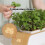 Home LED Grow Light Hydroponic Planter Height Adjustable Indoor Gardening System EU Plug 2