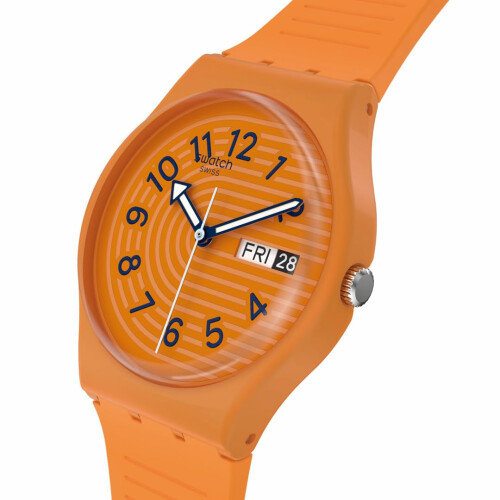 Swatch SWATCH Mod. TRENDY LINES IN SIENNA 2