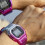 Calypso Calypso K5874/5 Unisex Digital Watch 3