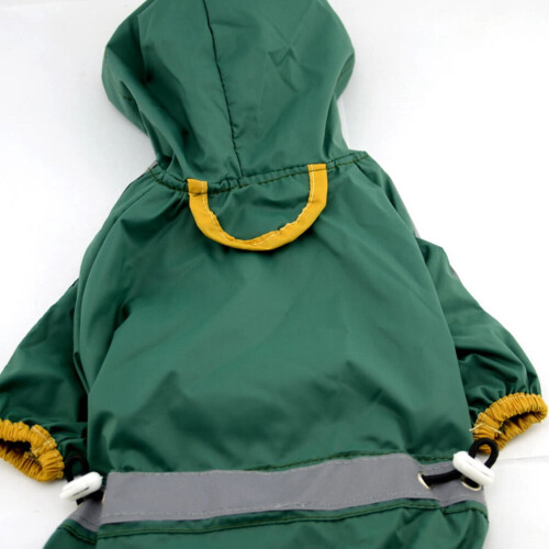 Imperméable pour chien en PVC vert avec queue ouverte et poignets élastiques 2