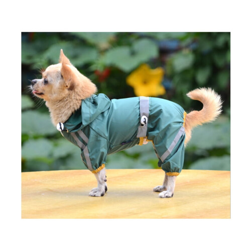 Imperméable pour chien en PVC vert avec queue ouverte et poignets élastiques 1