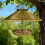 All-Weather Bird Feeder Cover with Rain Shield 7