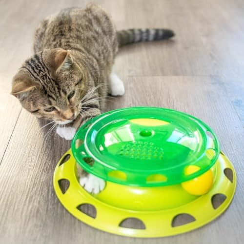Catnip Chaser Track – Διαδραστικό παιχνίδι γάτας με Catnip για χτύπημα, χτύπημα και 1