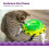 Catnip Chaser Track – Διαδραστικό παιχνίδι γάτας με Catnip για χτύπημα, χτύπημα και 3