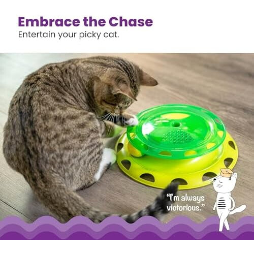 Catnip Chaser Track – Διαδραστικό παιχνίδι γάτας με Catnip για χτύπημα, χτύπημα και 2