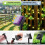 Solar Flower String Lights, 50 LED, 23ft, Waterproof 3