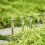 Solar-LED-Wegeleuchten, mehrfarbig, 24er-Pack 6
