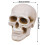 Fireproof Ceramic Skull Decor for Fire Pits & Fireplaces 3