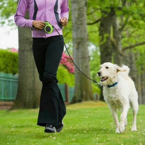 16ft Retractable Dog Leash with One-Touch Lock, Yellow 2