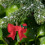 Handmade Non-Woven Snowflake Ornaments 4