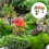 Miniature Toy Trees,4Pcs Simulation Fruit Tree Model Fake Fruit Tree Decoration -landscape Decor 6