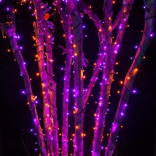 164FT500LED Φωτάκια Halloween σε κορδόνι, Αδιάβροχα, 8 Λειτουργίες, Μαύρο Σύρμα, Μωβ & 1