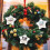 9 Sewing Machine Star Ornaments Ceramic Christmas Tree Decor 5
