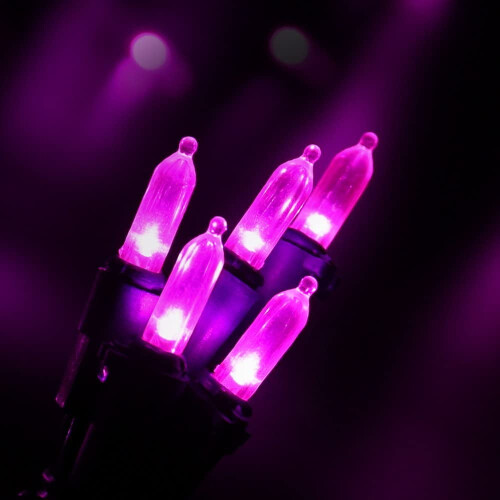 Pink 100-LED Christmas Lights 33ft UL Certified 1
