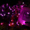 Pink 100-LED Christmas Lights 33ft UL Certified 4