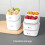 Δοχείο Bento 280ml/700ml/900ml/1000ml, φορητό δοχείο φαγητού για πικνίκ, κατάλληλο για φούρνο 4