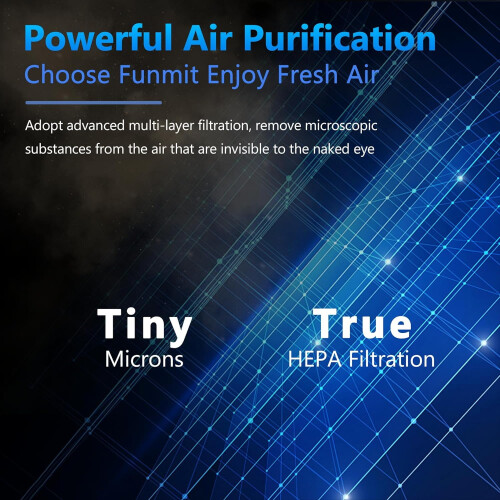 Vital 100 Replacement Filter 3-in-1 HEPA Carbon 4 Pack 1