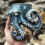 Δημιουργική κούπα Ocean Creature Octopus Κούπα καφέ, τσάι, ρητίνη, διακόσμηση δώρου 6