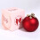 Preserved Red Rose with Necklace Gift Set 5