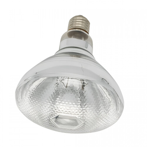 Λάμπα υπέρυθρης θέρμανσης 150W E26 για πτηνοτροφία, πτηνοτροφία & 2