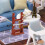 stuks mini-modelbouwblokjes displayrek/standaard 4