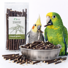 Tivo Gałązki Gruszy Dla Papug - Naturalny Gryzak I Element Foragingu | 100 G