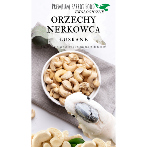 Premium papegøjefoder - økologiske cashewnødder - til alle papegøjer 100g