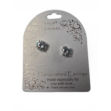 All That Sparkles Circle Of Hearts Silver Plated Stud Drop Earrings