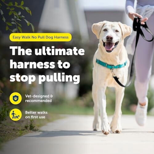 Ζώνη Easy Walk για σκύλους – Χωρίς τράβηγμα, πατενταρισμένη θηλιά Martingale, μπροστινό 2