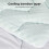 Lavio Mattress Topper Pillowtop Memory Foam 2