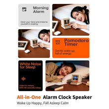 Divoom MiniToo Retro Speaker - Portable Pixel Art Display, Retro Computer Style, Ideal Gift