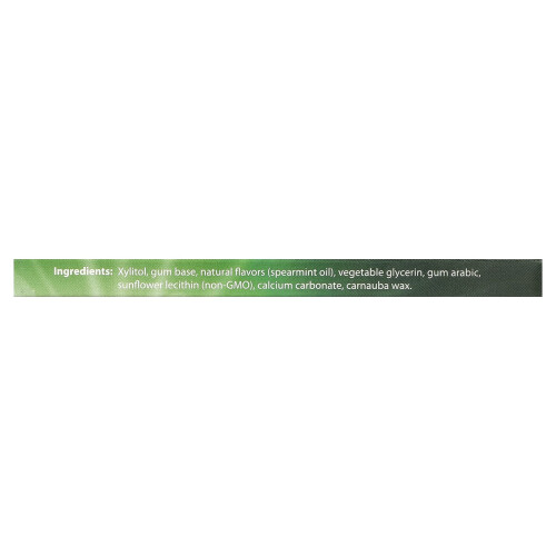 Xyloburst, Xylitol Tuggummi, Spearmint, 12 Bitar 2