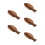 5Pcs Wooden Fish Shaped Serving Plates Versatile Rustic Tapas Tray 5